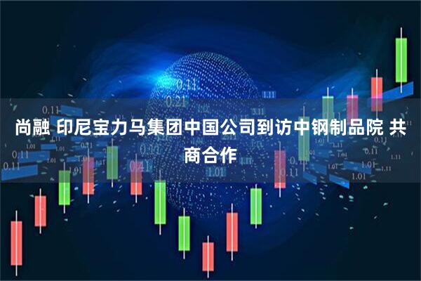 尚融 印尼宝力马集团中国公司到访中钢制品院 共商合作