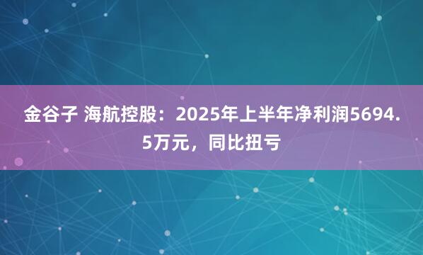 金谷子 海航控股：2025年上半年净利润5694.5万元，同比扭亏