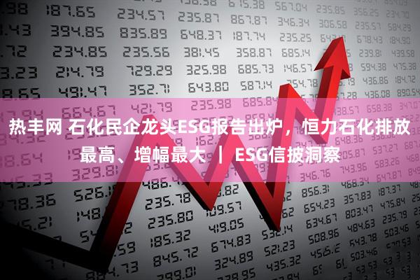 热丰网 石化民企龙头ESG报告出炉，恒力石化排放最高、增幅最大 ｜ ESG信披洞察